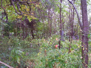 vanhook science hill 1